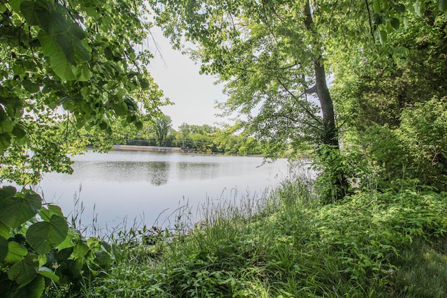 303 Spring St, Constantine, MI 49042 - photo 25