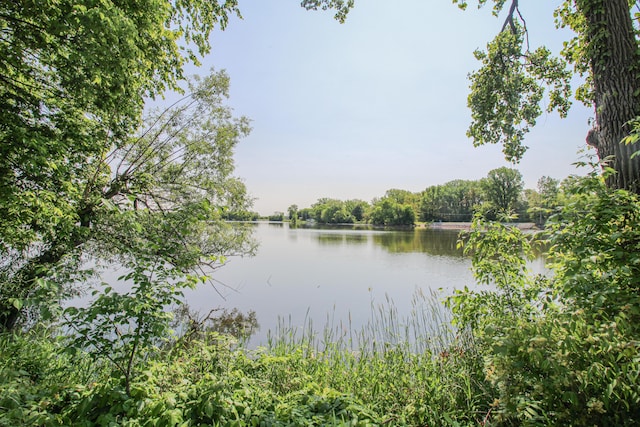 303 Spring St, Constantine, MI 49042 - photo 6