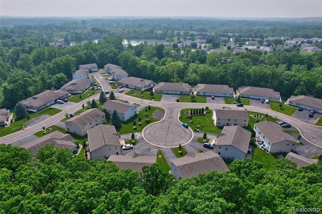 1015 Timber Ridge Ct, Grand Blanc, MI 48439 - aerial view of property's location with nearby suburban area and a forest