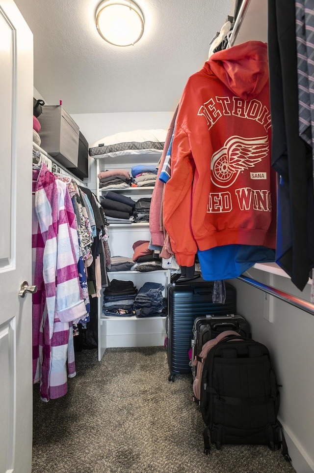 82 Dickens St, Spring Arbor, MI 49283 - spacious closet with carpet flooring