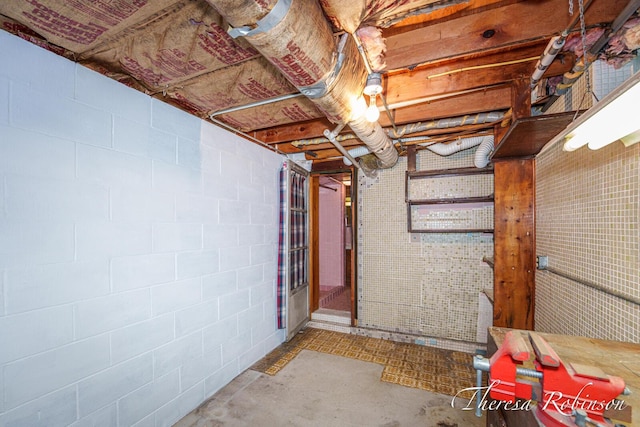 844 Dorroll St NE, Grand Rapids, MI 49505 - unfinished below grade area featuring concrete block wall