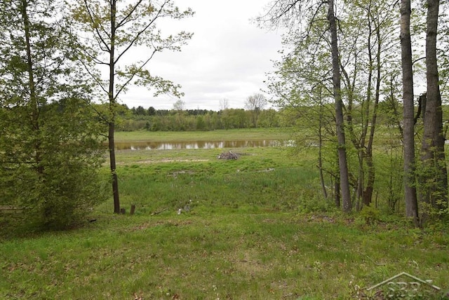 2114 Walter Rd, Beaverton, MI 48612 - view of yard with a water view