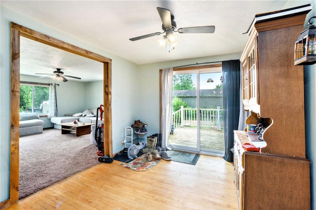1027 E Railroad St, Hastings, MI 49058 - doorway to outside with ceiling fan and wood finished floors