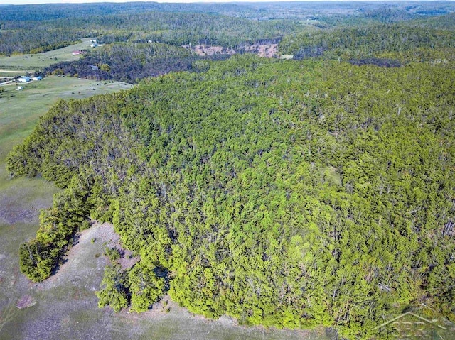 1336 W Huffman Lake Rd, Vanderbilt, MI 49795