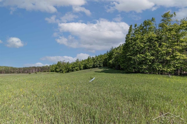 1336 W Huffman Lake Rd, Vanderbilt, MI 49795