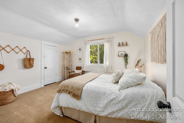 620 Emerald Ave NE, Grand Rapids, MI 49503 - bedroom with lofted ceiling, carpet floors, baseboards, and a textured ceiling