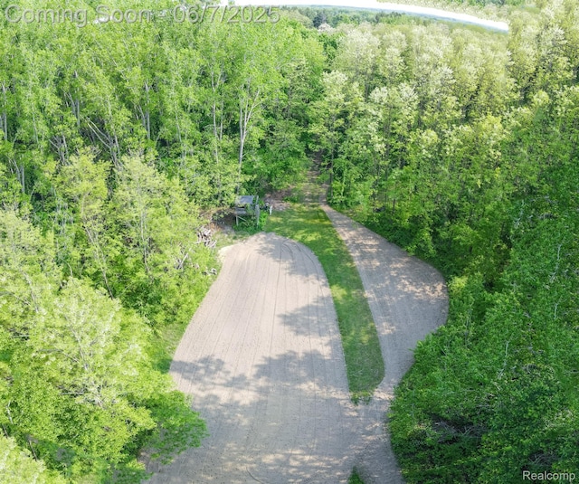 3591 Curry Rd, Caro, MI 48723 - aerial view of a forest