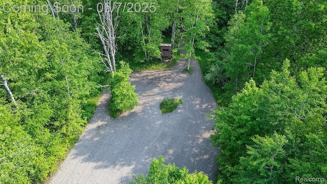 3591 Curry Rd, Caro, MI 48723 - view of road