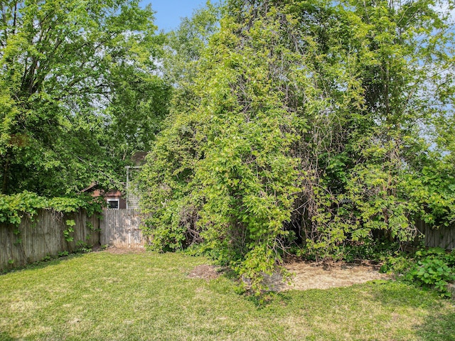 904 Riverview Ave, Lansing, MI 48915 - view of yard