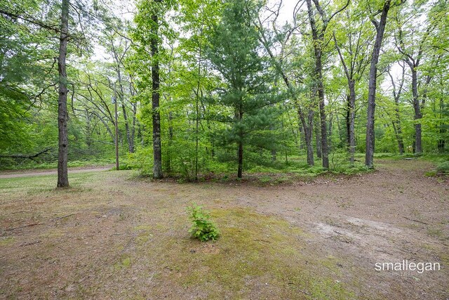 9134 39th Ave, Bitely, MI 49309 - photo 21