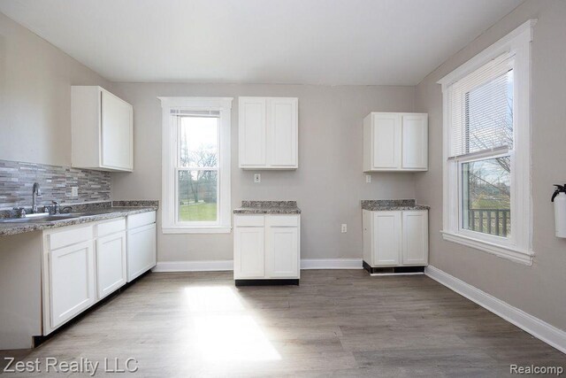 2977 Canton St, Detroit, MI 48207 - kitchen featuring a sink, plenty of natural light, light wood-style floors, and white cabinets
