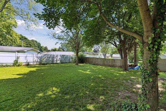 1279 Cunningham, Jackson, MI 49201 - view of yard