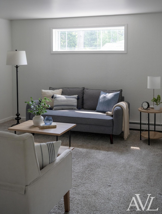 7936 Whitehall Rd, Whitehall, MI 49461 - carpeted living area with plenty of natural light and baseboard heating
