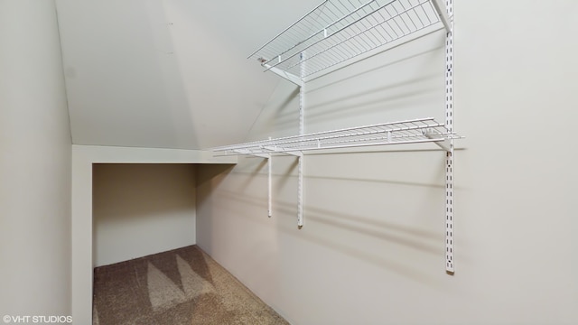 224 S Jameson St, New Buffalo, MI 49117 - spacious closet with carpet flooring