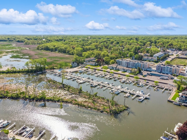 224 S Jameson St, New Buffalo, MI 49117 - bird's eye view of a marina, a nearby body of water, and a heavily wooded area
