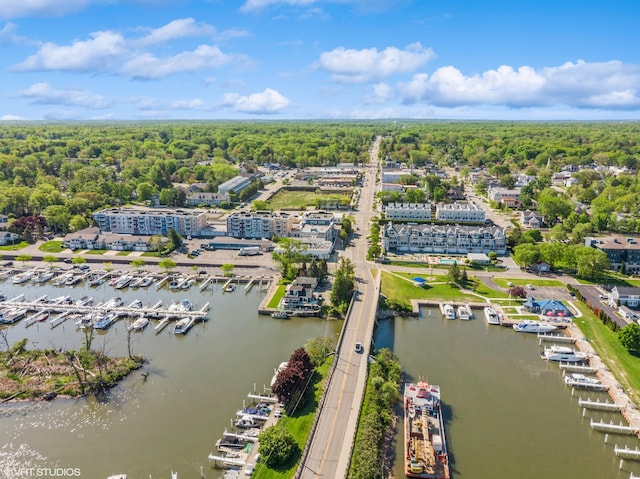 224 S Jameson St, New Buffalo, MI 49117 - drone / aerial view of a marina, a heavily wooded area, and a nearby body of water