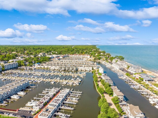 224 S Jameson St, New Buffalo, MI 49117 - bird's eye view of a nearby body of water and numerous boat docks