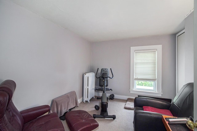 1019/1021 N Michigan Ave, Howell, MI 48843 - exercise area with radiator, carpet flooring, and baseboards