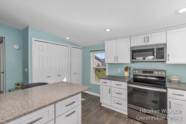 12683 Blue Lagoon Rd, Shelbyville, MI 49344 - kitchen featuring stainless steel appliances, lofted ceiling, dark wood finished floors, white cabinetry, and recessed lighting