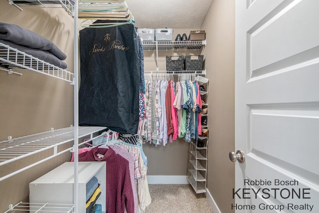 881 Cobblestone Way Dr SE, Byron Center, MI 49315 - spacious closet featuring carpet flooring