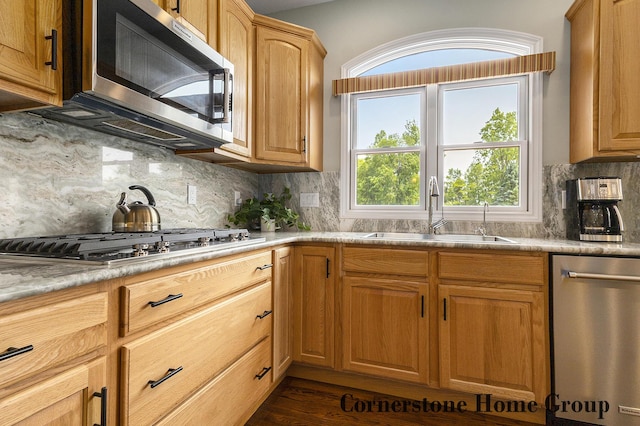 5273 S Silverstone Dr NE, Comstock Park, MI 49321 - kitchen featuring appliances with stainless steel finishes, a sink, decorative backsplash, and light countertops