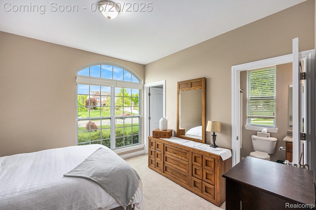 825 Mcintosh Ct, Oakland, MI 48363 - bedroom with light colored carpet and multiple windows