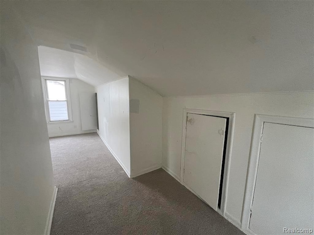 21731 Nevada Ave, Eastpointe, MI 48021 - bonus room with vaulted ceiling and carpet floors