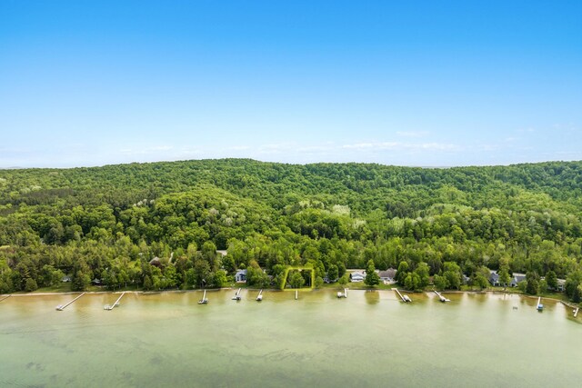 6952 Carter Rd, Beulah, MI 49617