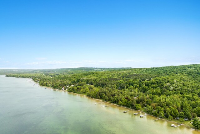 6952 Carter Rd, Beulah, MI 49617