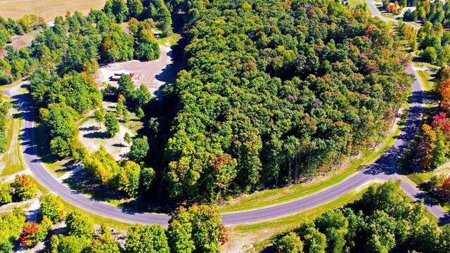 5238 Paradise Rnch, Kingsley, MI 49649