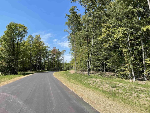 5238 Paradise Rnch, Kingsley, MI 49649