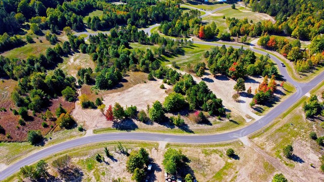5238 Paradise Rnch, Kingsley, MI 49649