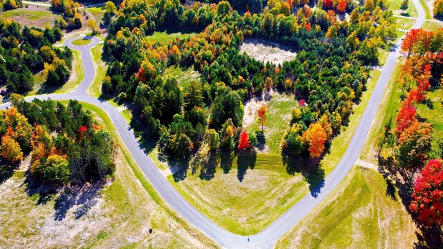 5238 Paradise Rnch, Kingsley, MI 49649