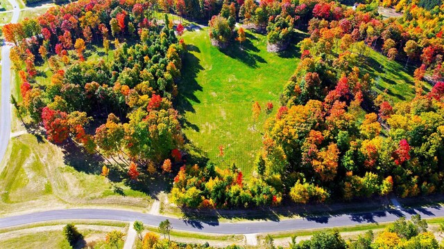 5238 Paradise Rnch, Kingsley, MI 49649