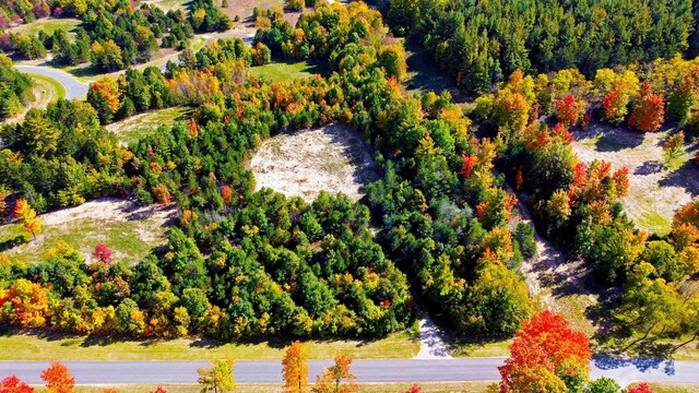 5238 Paradise Rnch, Kingsley, MI 49649