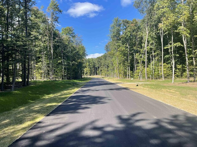5238 Paradise Rnch, Kingsley, MI 49649
