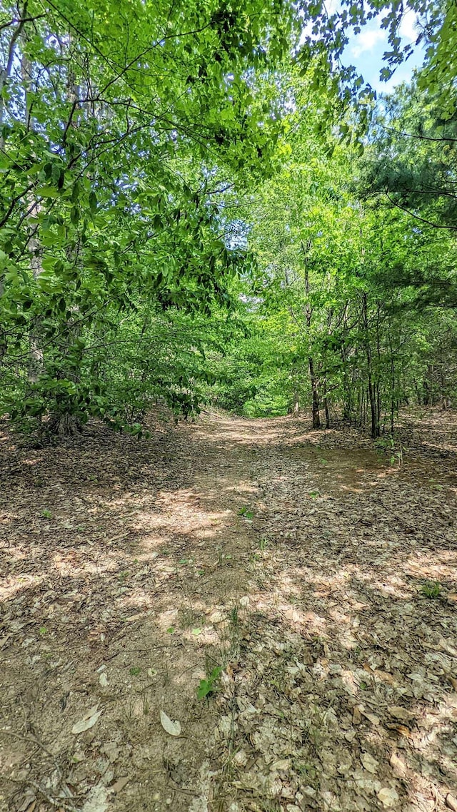 00 Stark Rd, Mancelona, MI 49659