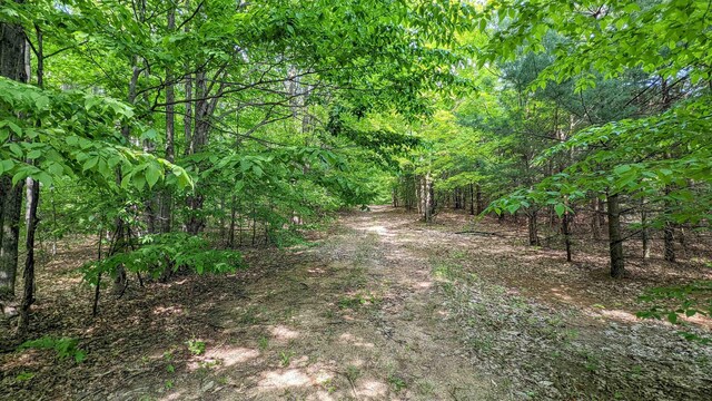 00 Stark Rd, Mancelona, MI 49659