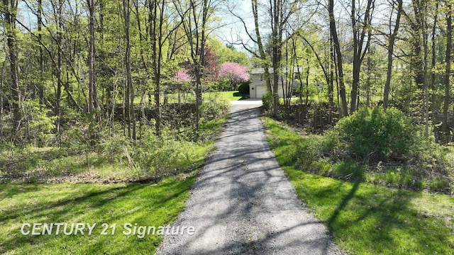 8285 Seymour Rd, Flushing, MI 48433 - view of dirt / gravel driveway