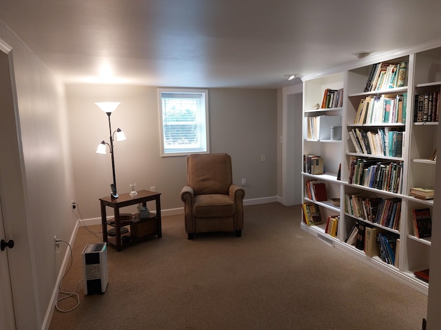70170 Ironwood Dr, Niles, MI 49120 - living area featuring carpet and baseboards