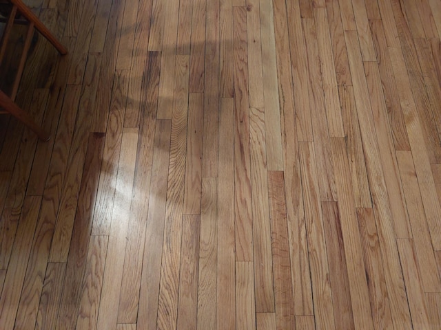 70170 Ironwood Dr, Niles, MI 49120 - detailed view of wood finished floors