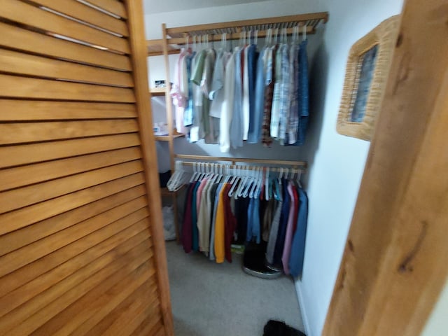 70170 Ironwood Dr, Niles, MI 49120 - spacious closet with carpet floors