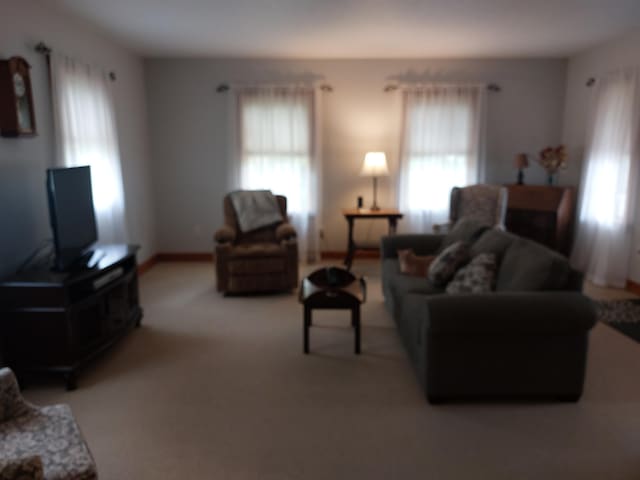 70170 Ironwood Dr, Niles, MI 49120 - living area featuring light carpet