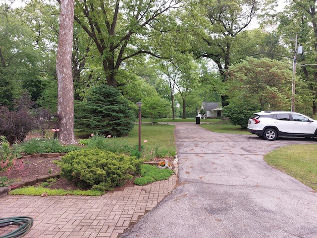 70170 Ironwood Dr, Niles, MI 49120 - view of street with street lighting