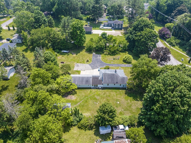 455 N 10th St, Plainwell, MI 49080 - aerial view of property's location with a tree filled landscape