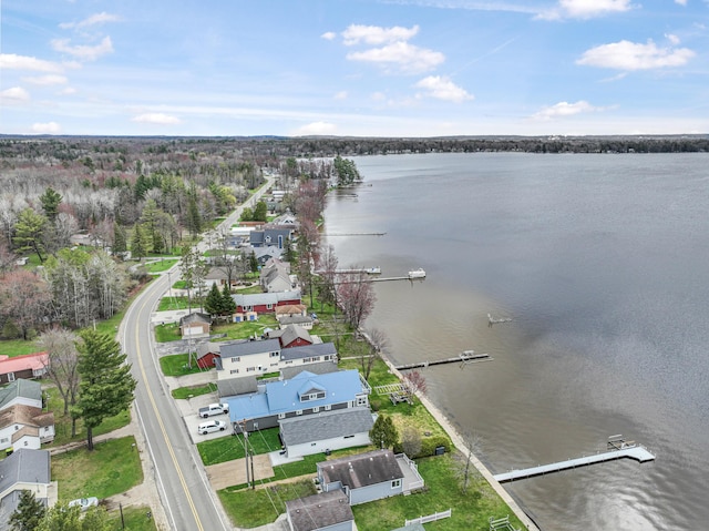 3551 W W Lake Mitchell Dr, Cadillac, MI 49601 - aerial view of a nearby body of water