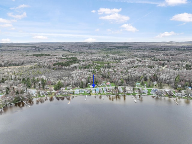 3551 W W Lake Mitchell Dr, Cadillac, MI 49601 - aerial view of property and surrounding area featuring a large body of water