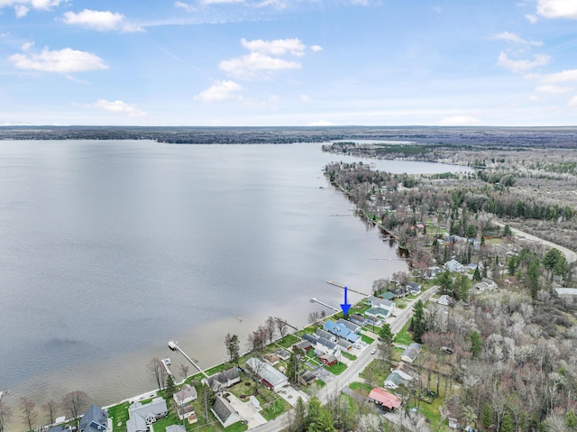 3551 W W Lake Mitchell Dr, Cadillac, MI 49601 - aerial view of property's location featuring a large body of water and nearby suburban area