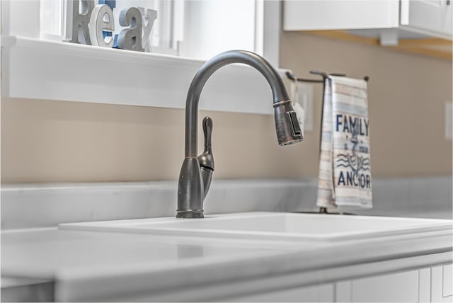 3551 W W Lake Mitchell Dr, Cadillac, MI 49601 - detailed view of a sink