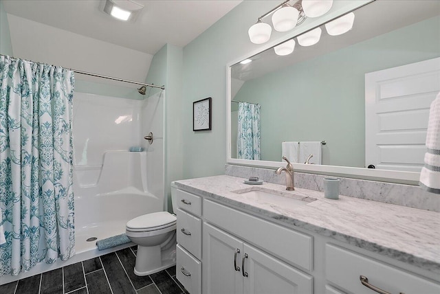 2582 3 Mile Rd NE, Grand Rapids, MI 49525 - bathroom featuring vanity, toilet, curtained shower, and wood tiled floors